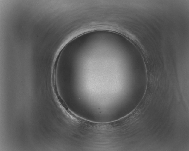 X0000056361520200509021734