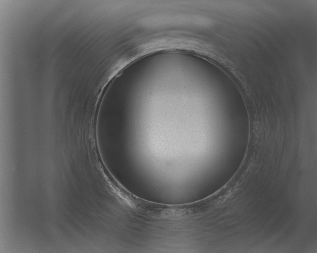 X0000056361521200509021734