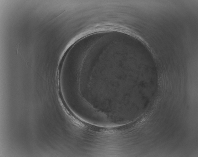 X0000056361522200509021735