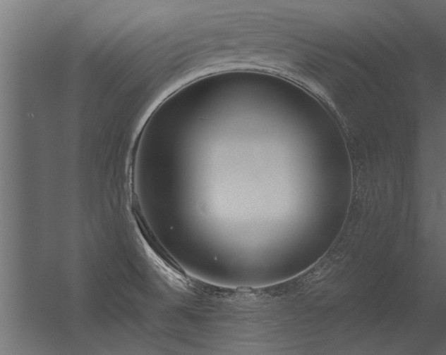 X0000056361524200509021735