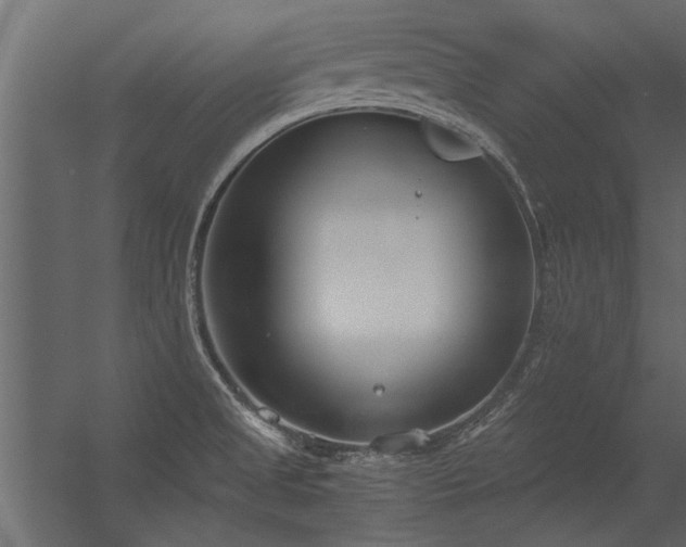 X0000056361525200509021735