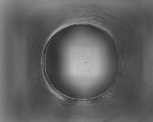 X0000056361526200509021735