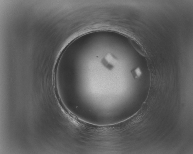 X0000056361527200509021735