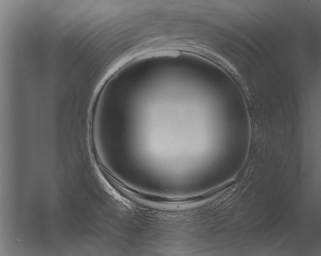 X0000056361528200509021735