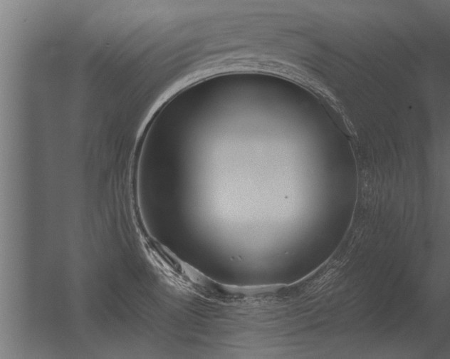 X0000056361530200509021735