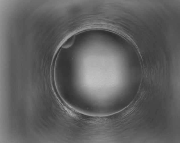 X0000056361533200509021735