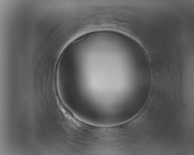 X0000056361534200509021735