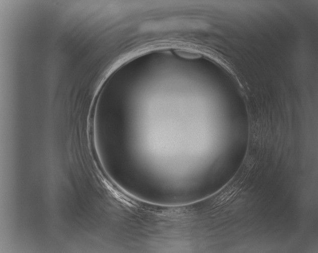 X0000056361535200509021735