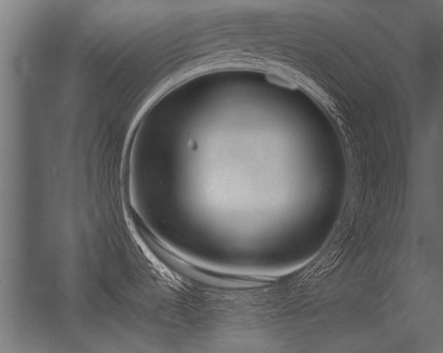 X0000056361536200509021735