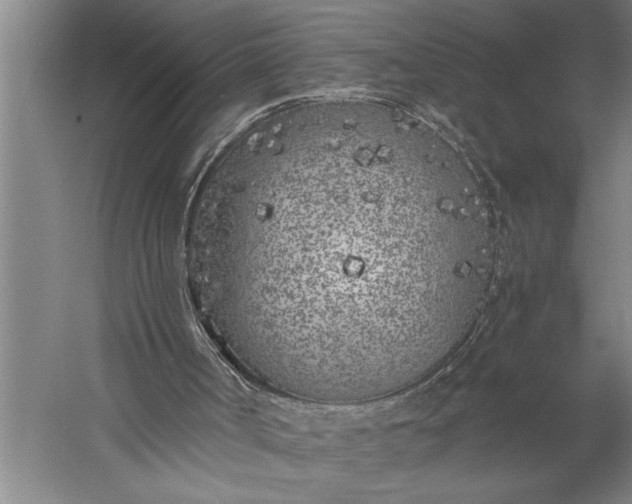 X0000056360002200509091635