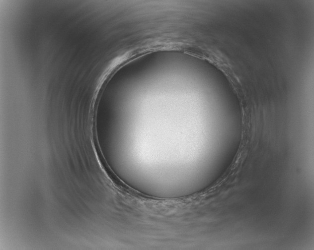 X0000056360003200509091635