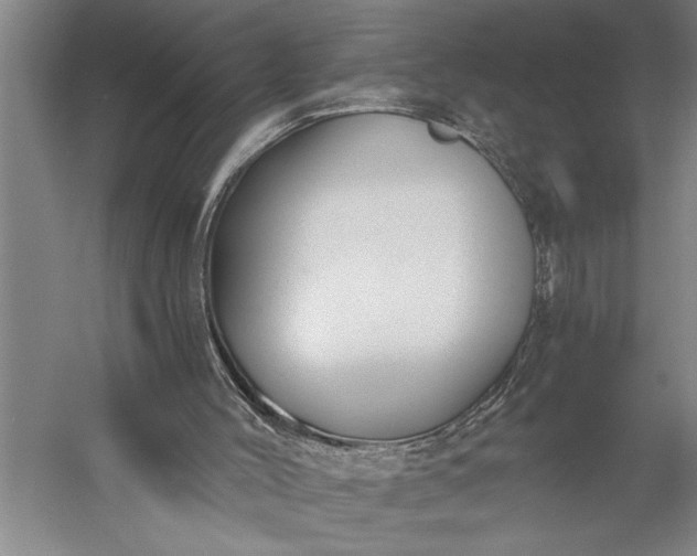 X0000056360004200509091635