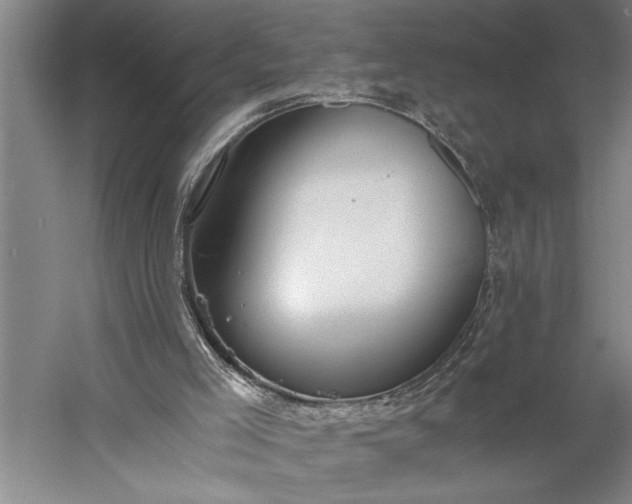 X0000056360005200509091635