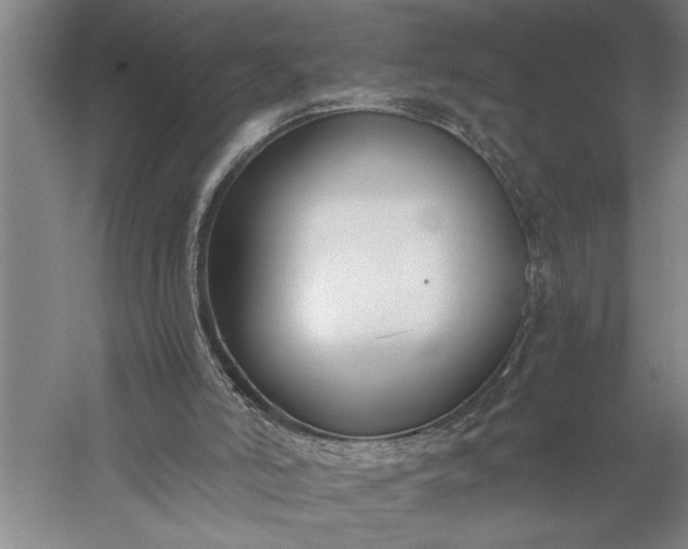 X0000056360006200509091635