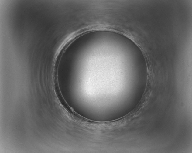 X0000056360007200509091635