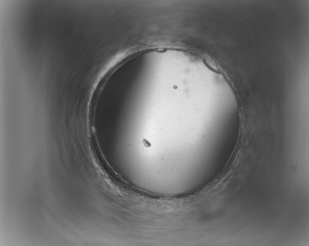 X0000056360008200509091635