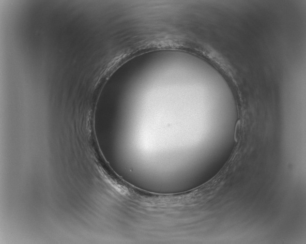 X0000056360009200509091635