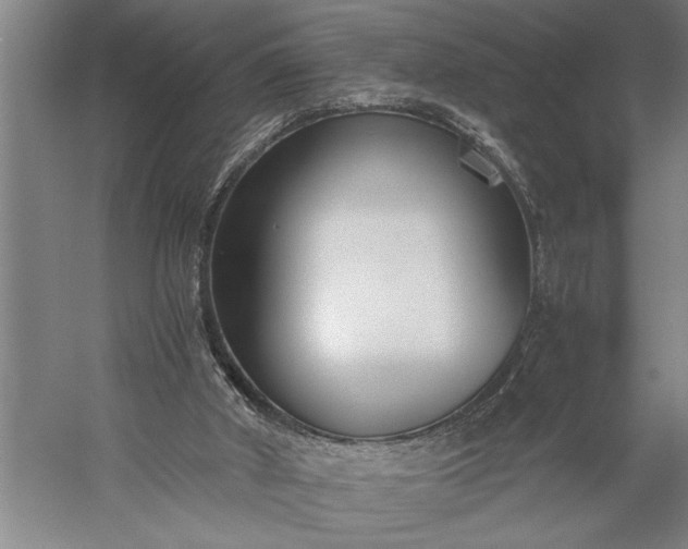 X0000056360010200509091635