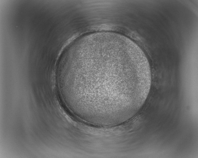 X0000056360012200509091635