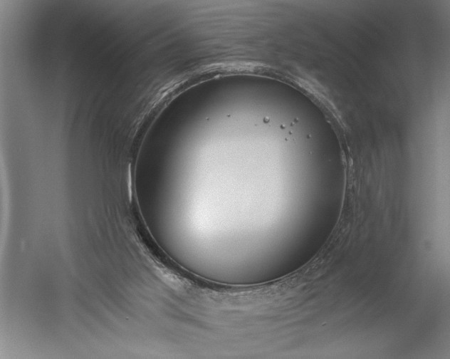 X0000056360013200509091635