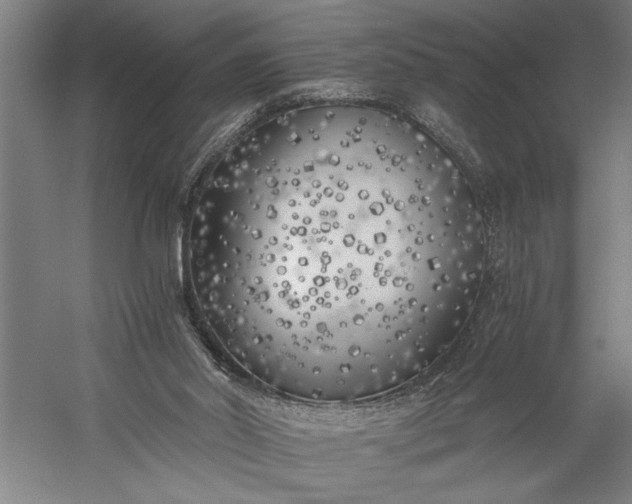 X0000056360014200509091635