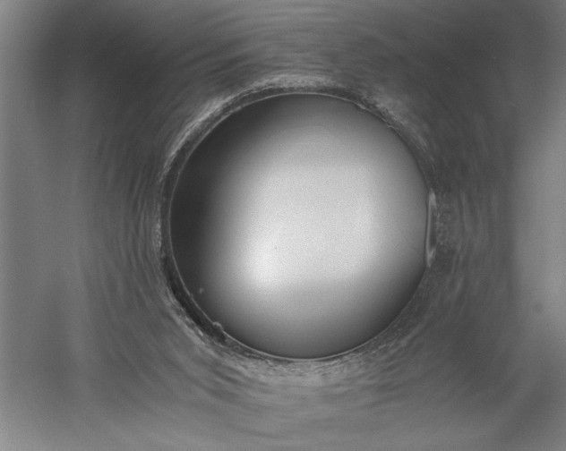 X0000056360015200509091635