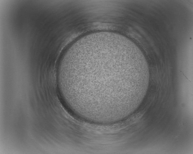 X0000056360016200509091634