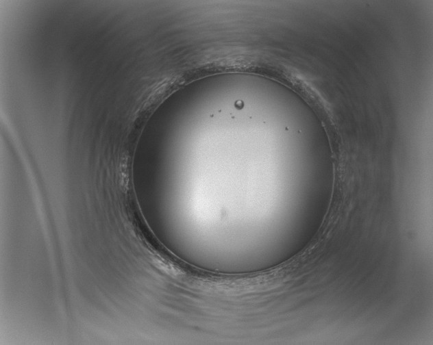 X0000056360017200509091634