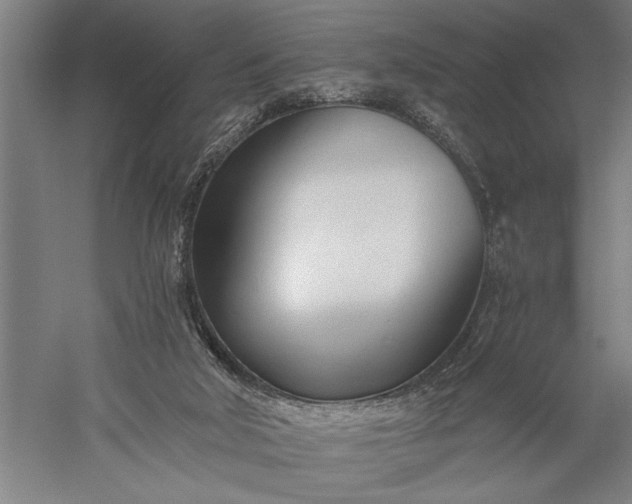 X0000056360018200509091634