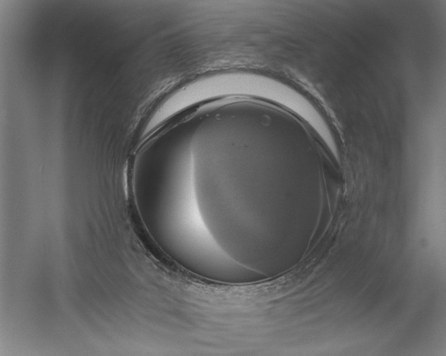 X0000056360019200509091634