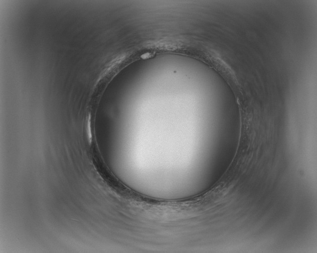 X0000056360020200509091634