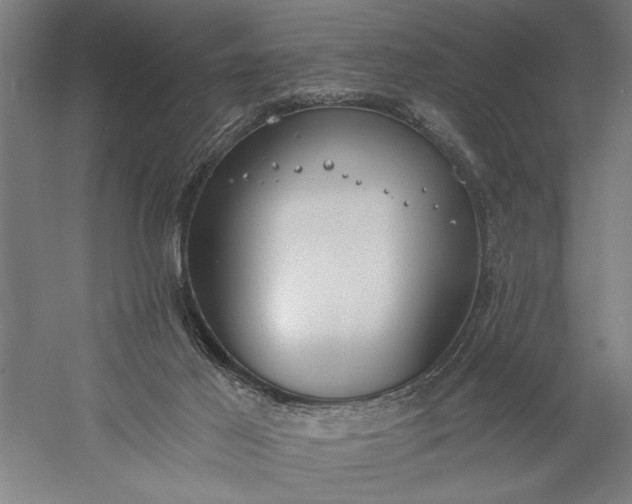 X0000056360021200509091634