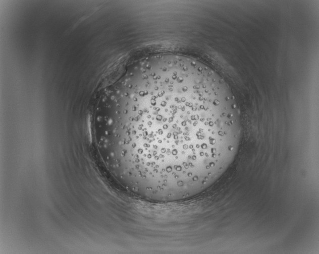 X0000056360022200509091634