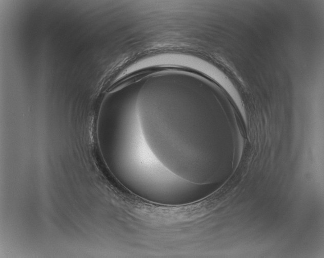 X0000056360023200509091634