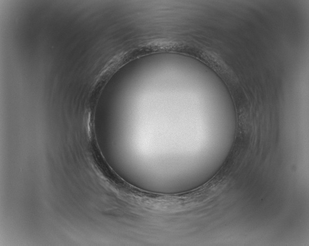 X0000056360024200509091634