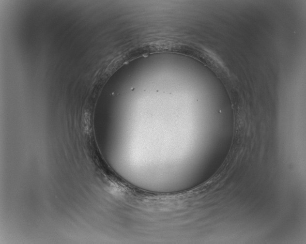 X0000056360025200509091634