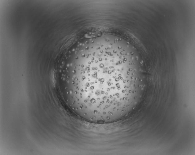 X0000056360026200509091634