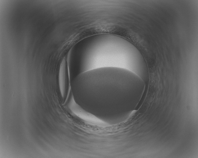 X0000056360027200509091634