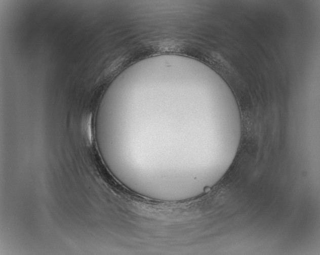 X0000056360028200509091634