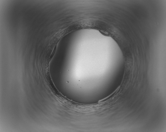 X0000056360029200509091634