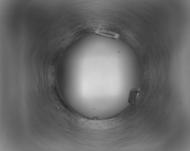 X0000056360030200509091634