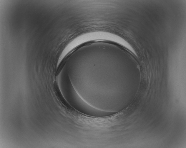 X0000056360031200509091634