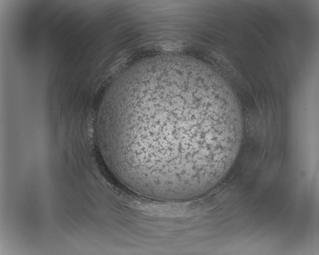 X0000056360032200509091634