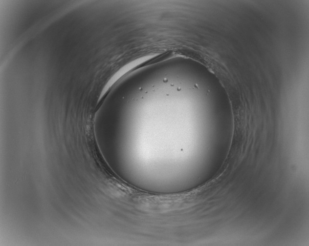 X0000056360033200509091634