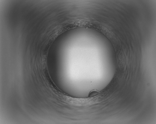 X0000056360034200509091634