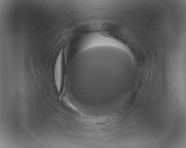 X0000056360035200509091634