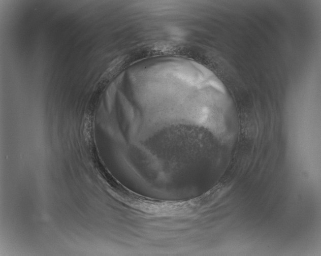 X0000056360036200509091634