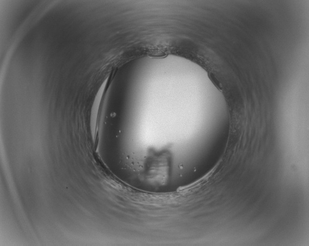 X0000056360037200509091634