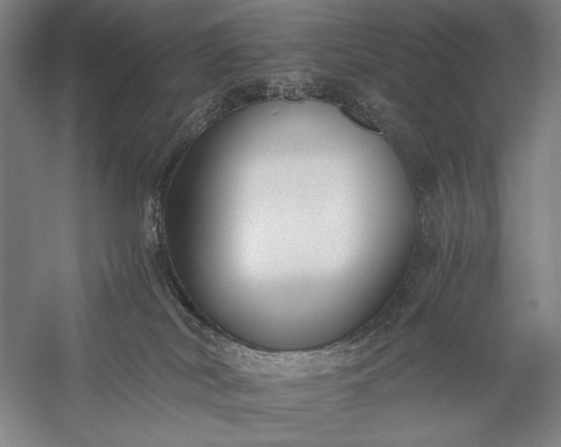 X0000056360038200509091634