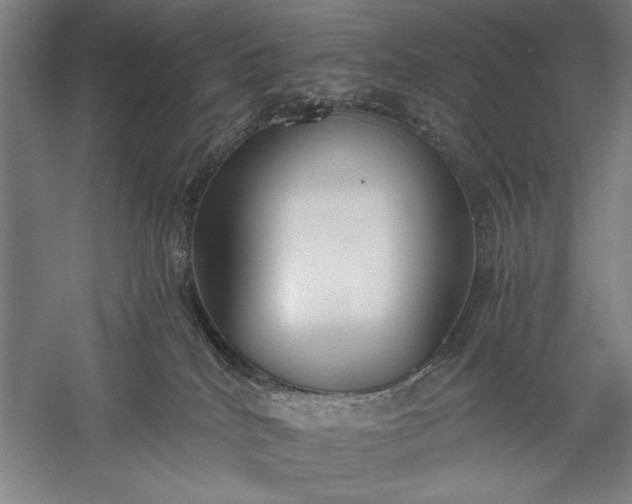 X0000056360040200509091634